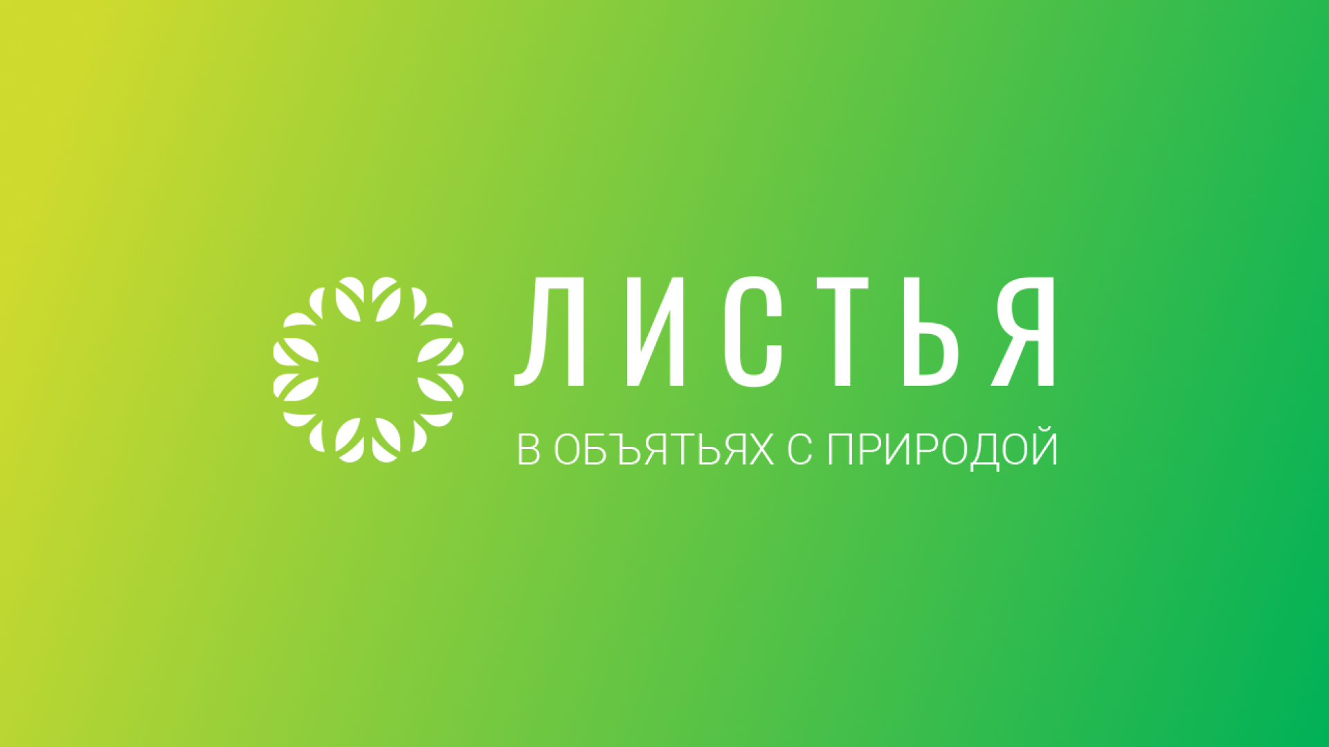 Лесная дорога в солнечный день